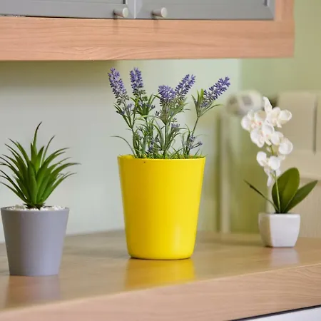 Apartman Modric Apartment